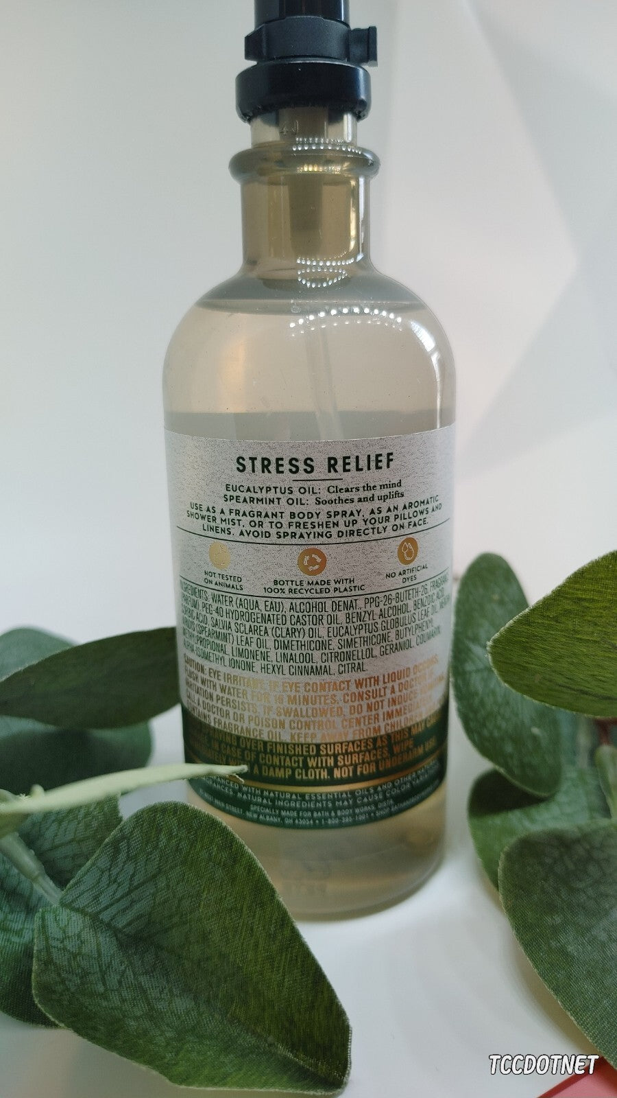 Bath & Body Works Aromatherapy Eucalyptus & Spearmint Stress Relief Oil Mist
