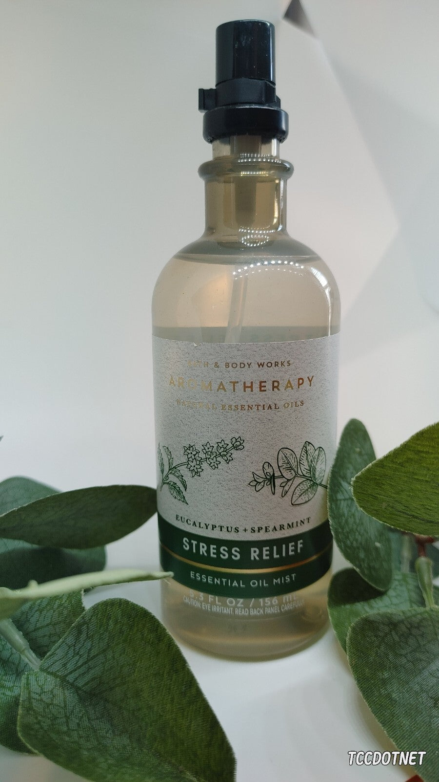 Bath & Body Works Aromatherapy Eucalyptus & Spearmint Stress Relief Oil Mist