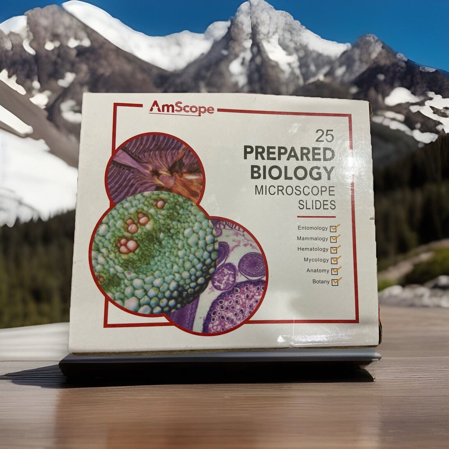 AmScope 25 Prepared Biology Microscope Slides Etymology Hematology NEW Open Box