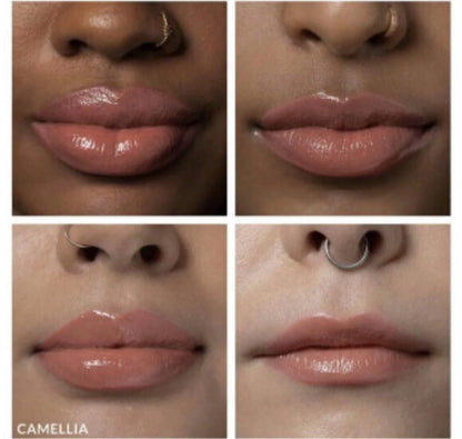 KVD Kat Von D XO High Shine Lip Gloss CAMELLIA 10 Brand New In Box Authentic!