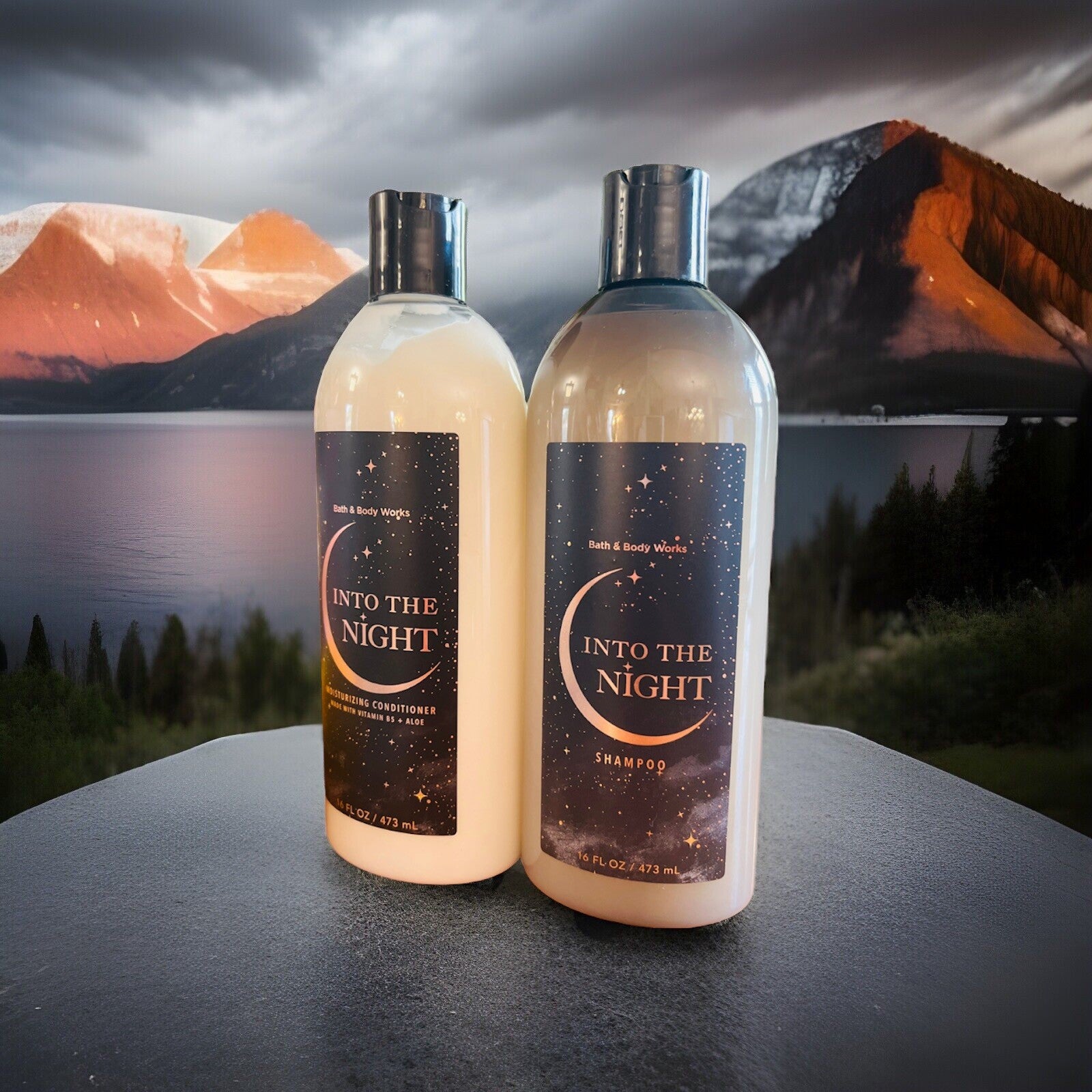 Bath & Body Works Into The Night Shampoo And Conditioner  Set / 16fl oz each New